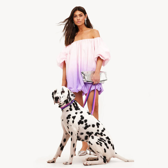 DOGGUO Dog leash - gradient - purple