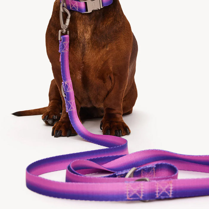 DOGGUO Dog leash - gradient - purple