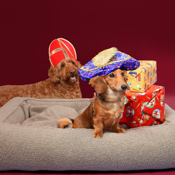 10 Sint cadeaus voor jouw hond