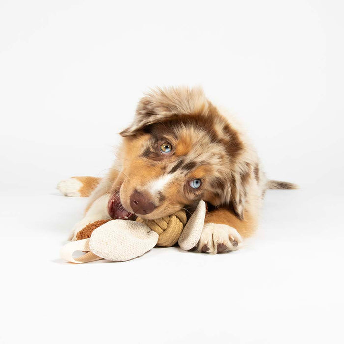 D&D Home Jule Hundespielzeug Sand