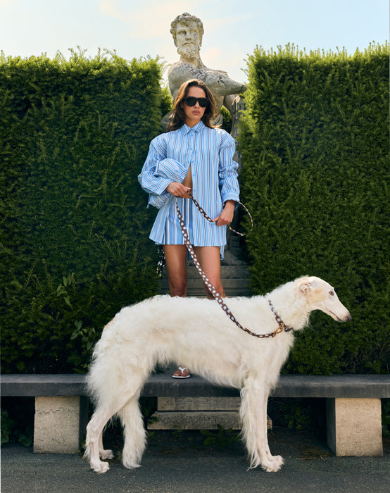 DOGGUO Hundeleine Punkte Braun/Blau