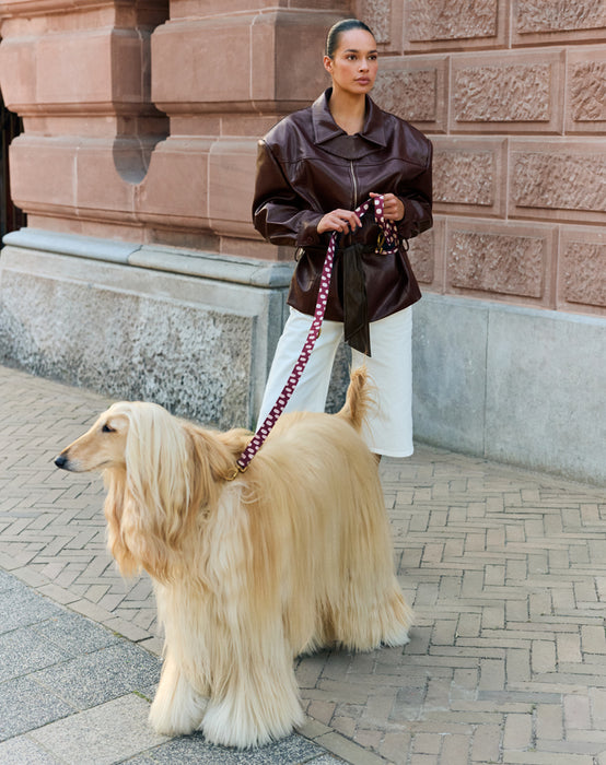DOGGUO Hundeleine Punkte Bordeaux/Pfirsich