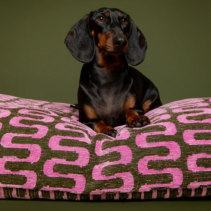 Dogguo hondenkussen retro wave print groen/roze