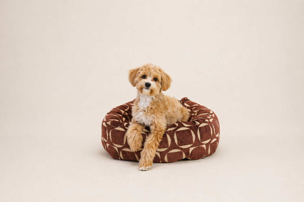 Dogguo Donut Hundebett mit Retro-Muster in Braun/Gelb