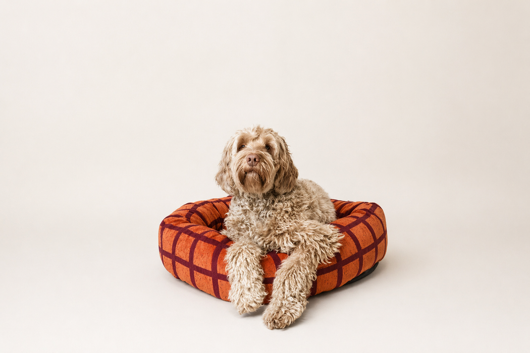Dogguo Donut Hundebett quadratisch mit Bordeaux-Orange Muster