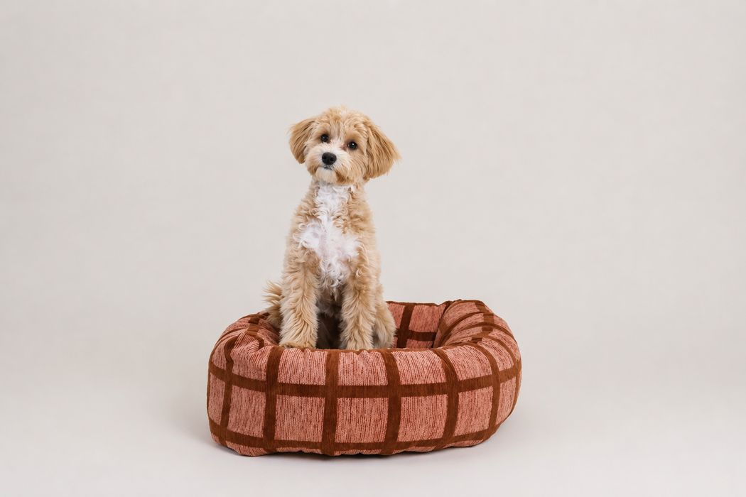 DOGGUO Donut Hundebett – Quadrat Print Mokka Braun