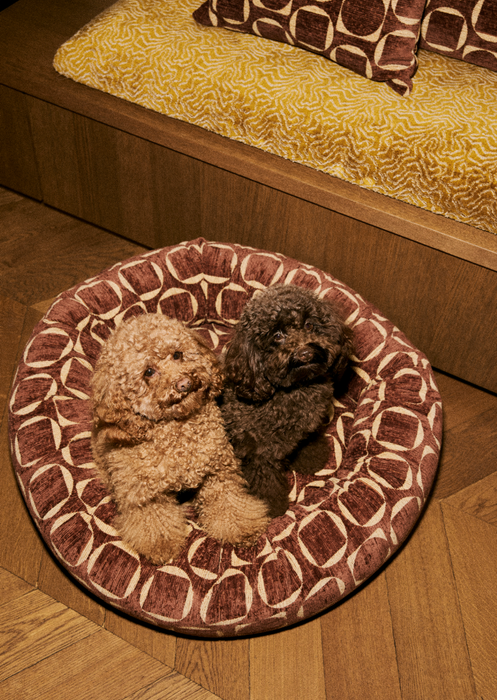 Dogguo Donut Hundebett mit Retro-Muster in Braun/Gelb