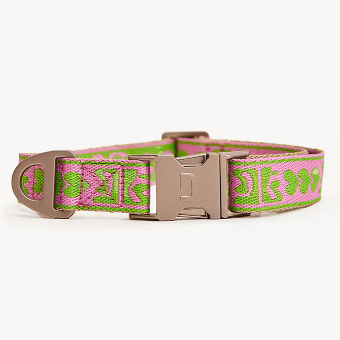 DOGGUO Halsband - print - groen