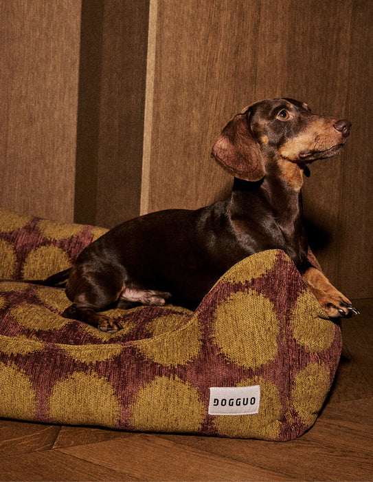 Dogguo Hundekorb Dot - Braun/Grün