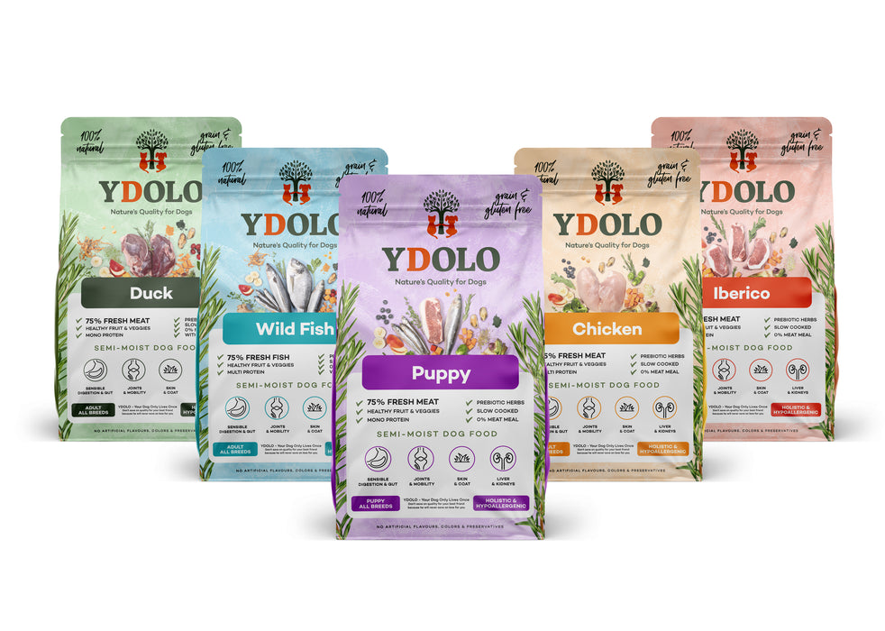 Ydolo Health & Pure Welpenfutter