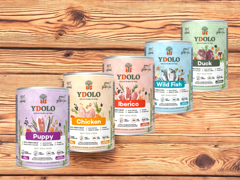 YDOLO Nassfutter für Hunde Huhn