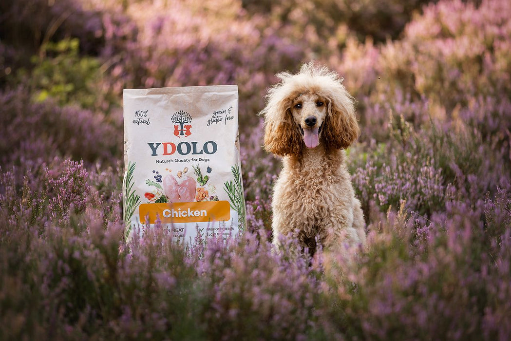 Ydolo Healthy & Pure Chicken