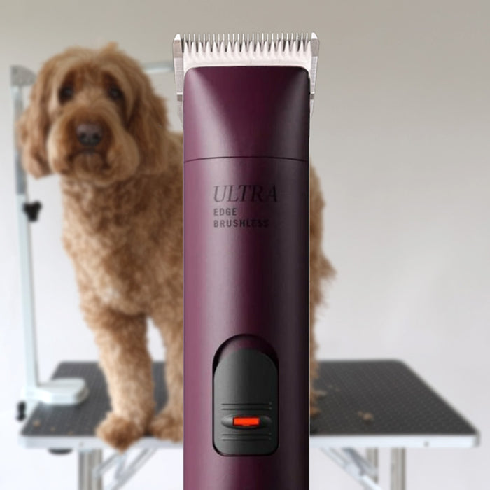 Andis Ultra Edge AGC Super 2 Speed Brushless Profi-Hundeschermaschine