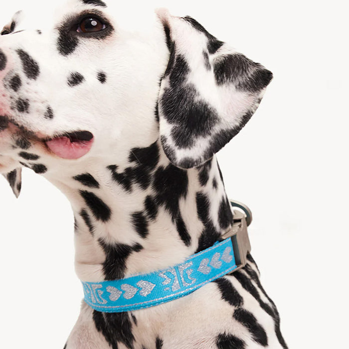 DOGGUO Halsband - print - blauw