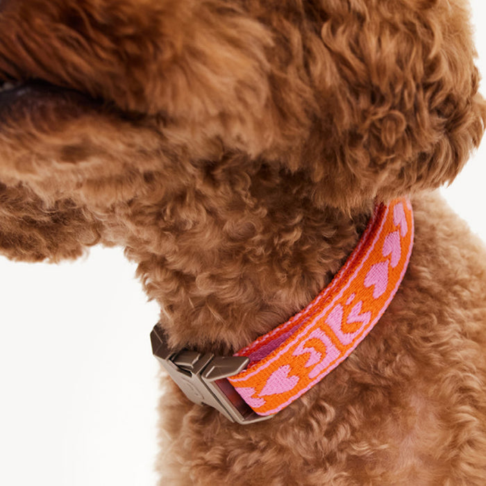 DOGGUO Halsband - print - oranje