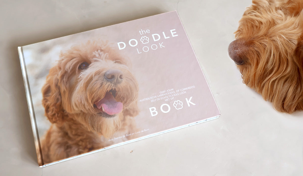 The Doodle Look Book Niederländisch