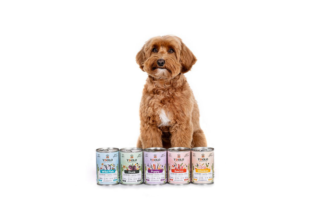 YDOLO Nassfutter für Hunde Iberico