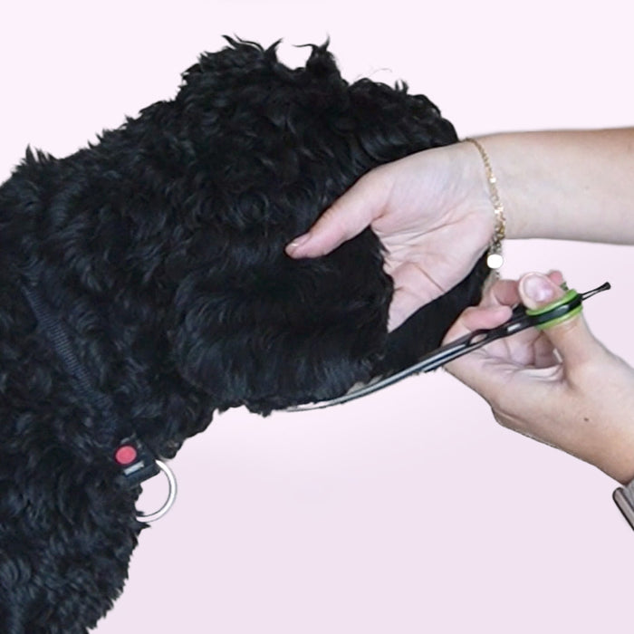 Trimmschere gebogen Furry Original