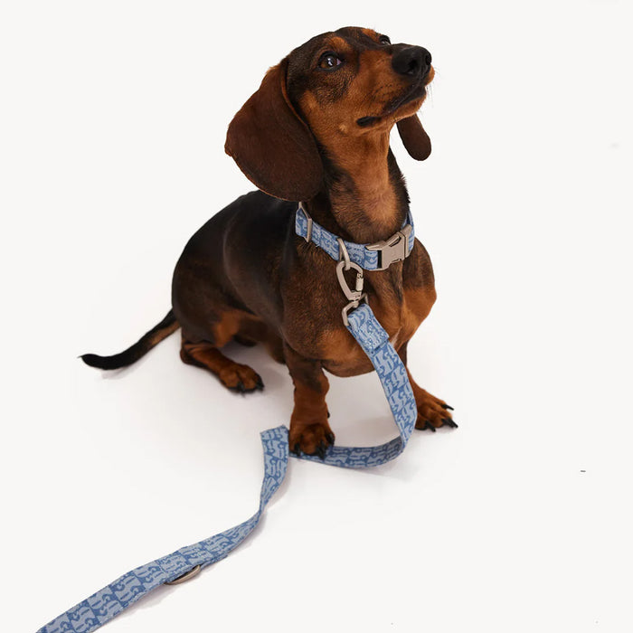 DOGGUO Halsband – Denim – Blau