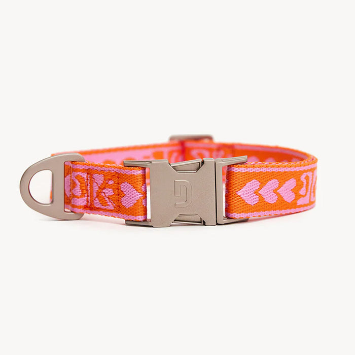 DOGGUO Halsband - print - oranje