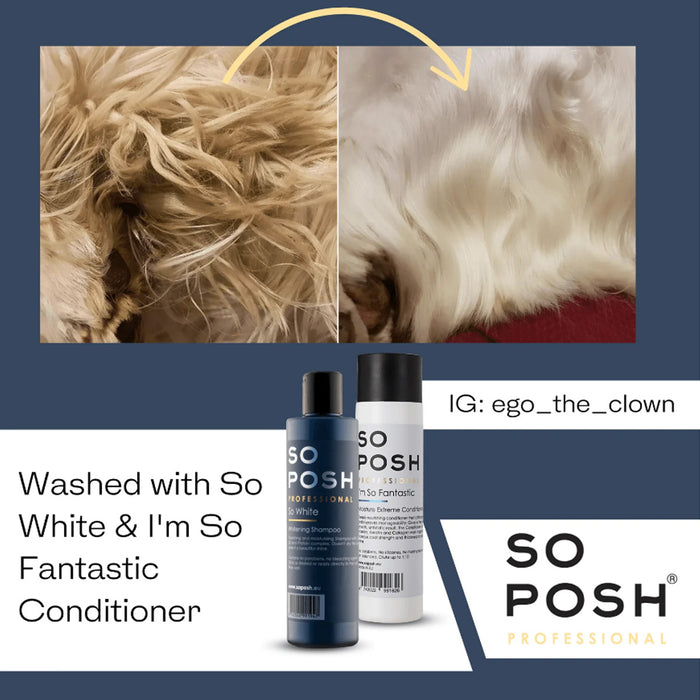 So Posh So White Shampoo für Hunde