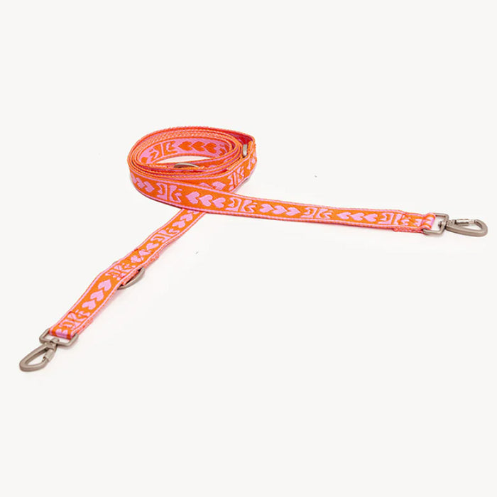 DOGGUO Hundeleine – Aufdruck – Orange