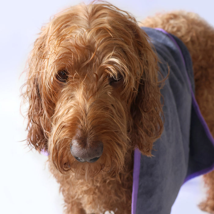 Honden microvezel droogdoek premium Furry Original